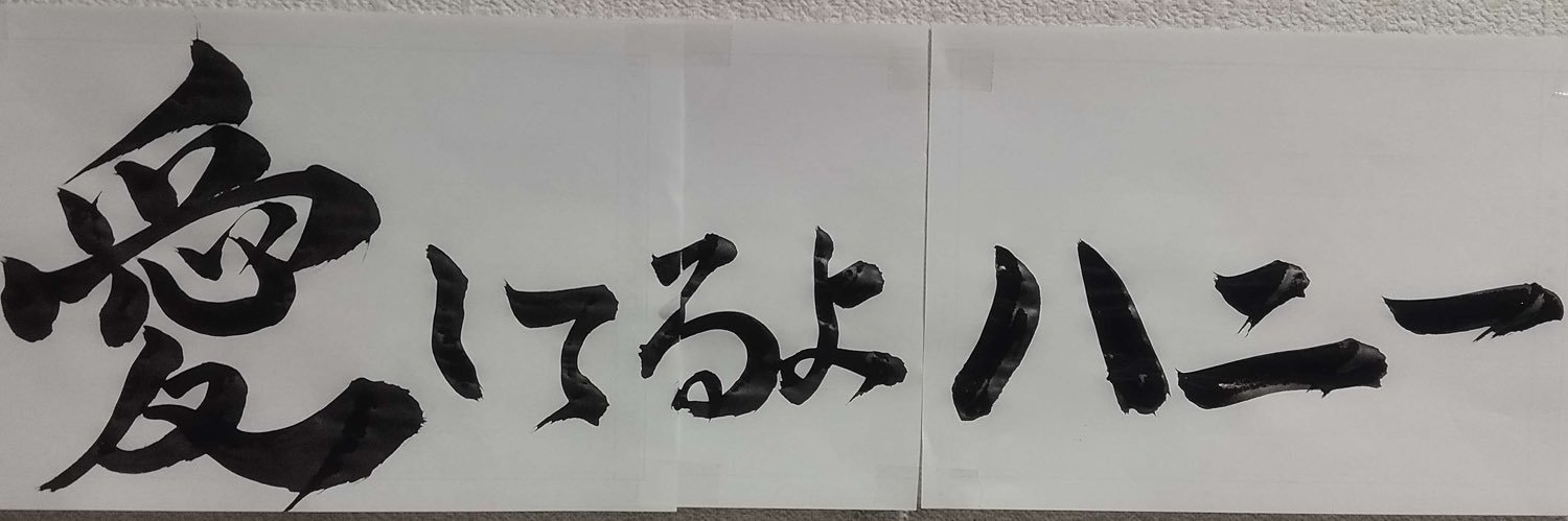 dokijomon's profile banner image