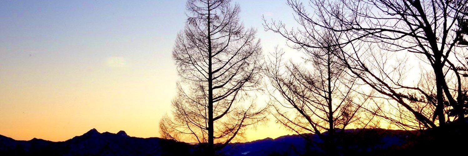aria_1103's profile banner image