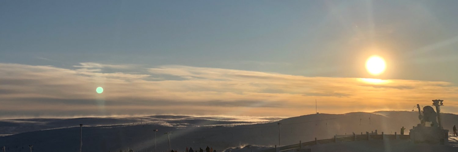 Henrik Davidsson banner