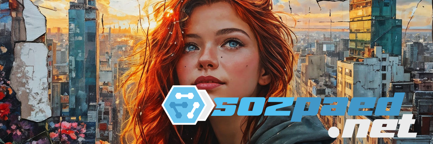 sozpaednet's profile banner image