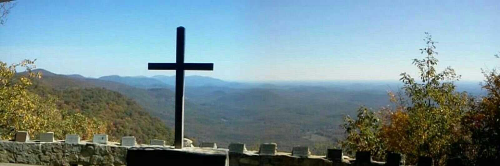 ✝️Rambling Rose banner