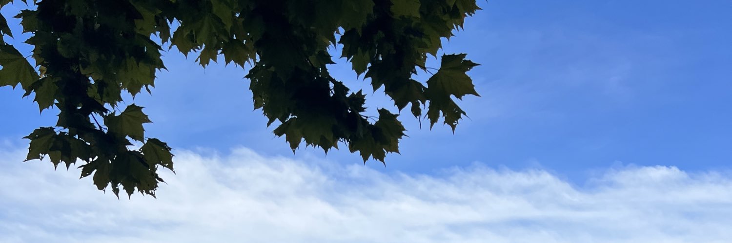 Mike 🇿🇦 banner