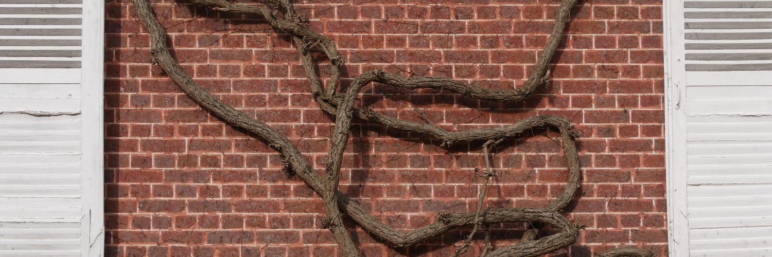 Twidi / Stéphane Angel banner