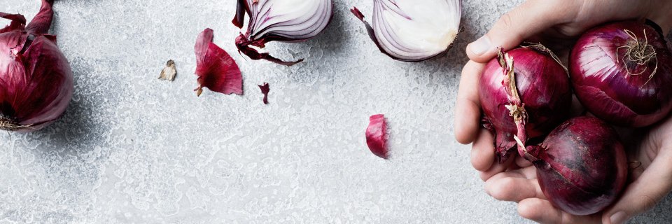 Martin & Servera banner