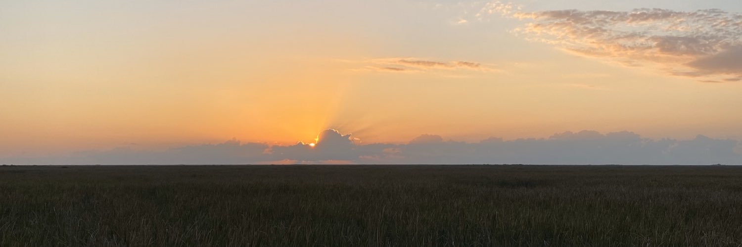 natguaimas's profile banner image