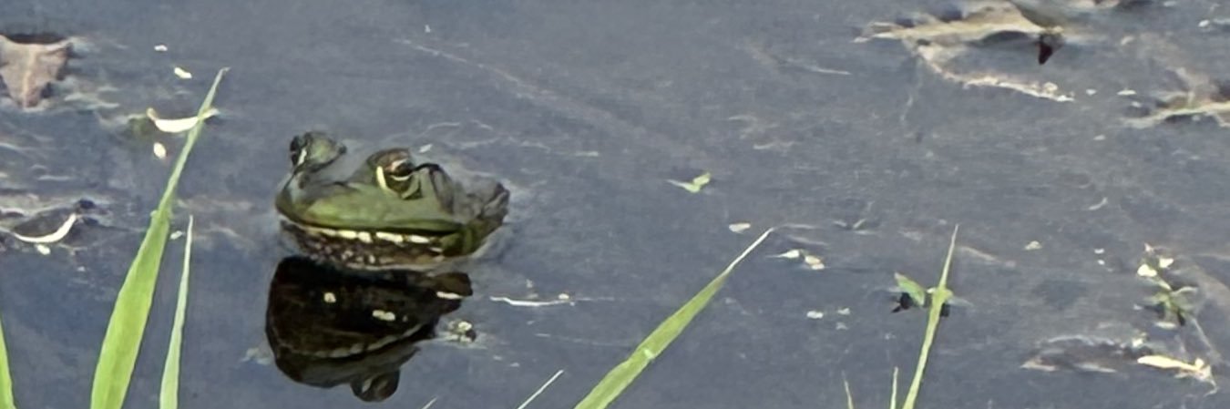jfeddermann's profile banner image