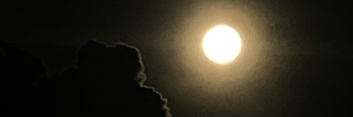 edgarserrano22's profile banner image