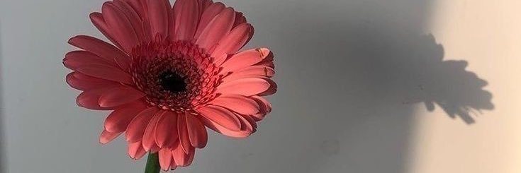 llllyy75's profile banner image