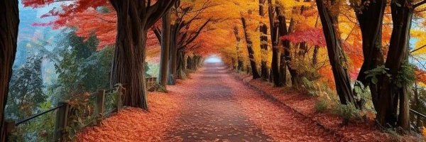 HumorNatureArt Profile Banner