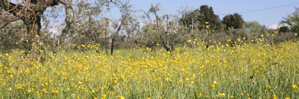 emilyjamesmann Profile Banner