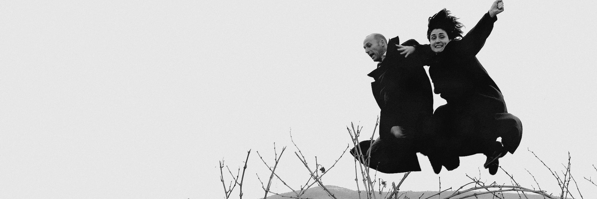 Luc_Plissonneau's profile banner image