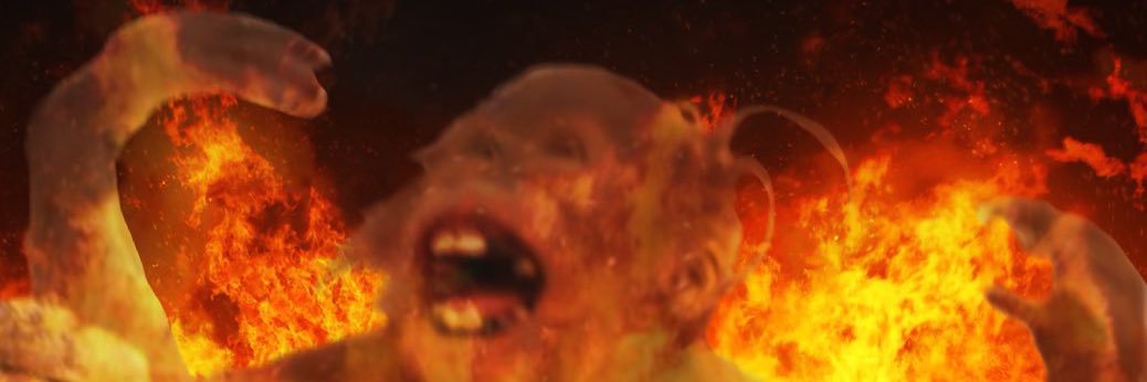 scam likely's banner