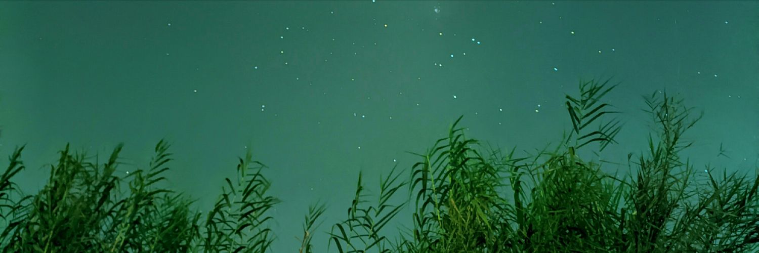 MuhammadOkta's profile banner image