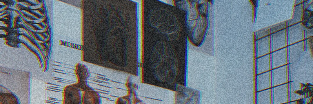 hailhippocrates's profile banner image