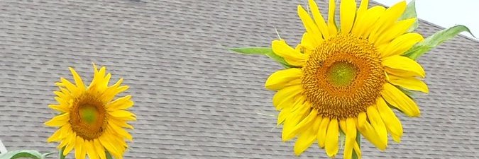 ripendra's profile banner image