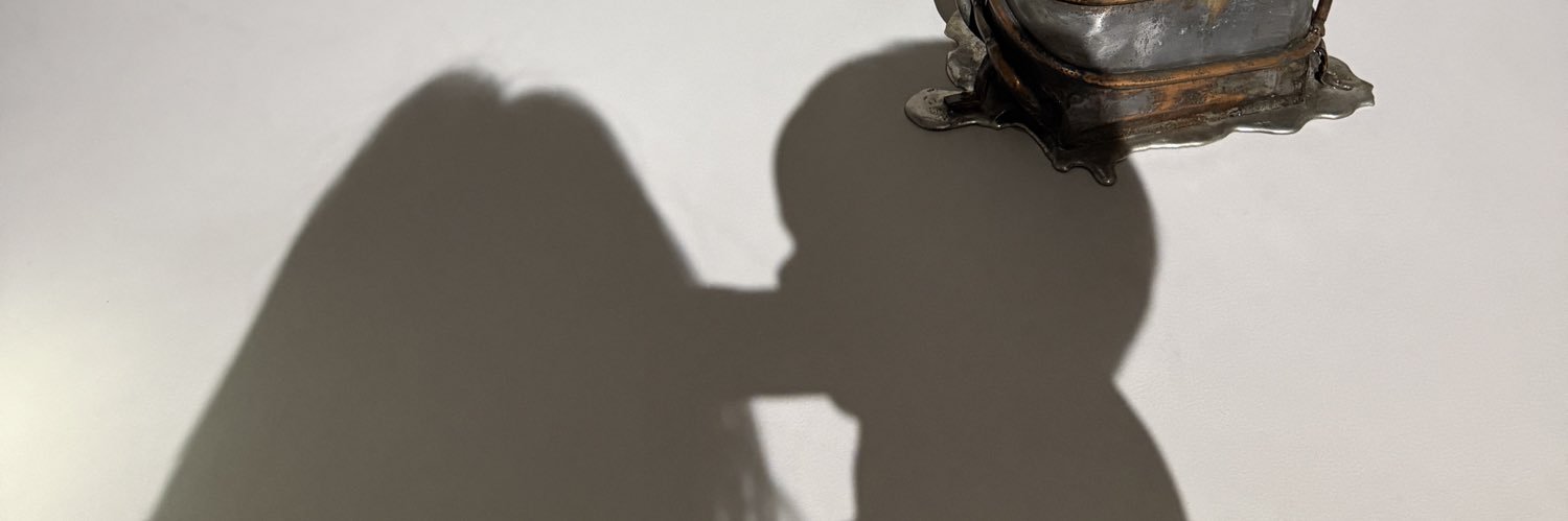 plnpalma's profile banner image