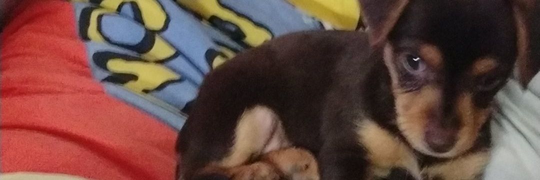 eli358_'s profile banner image