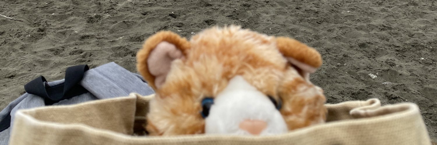 maybeitsjasper's profile banner image