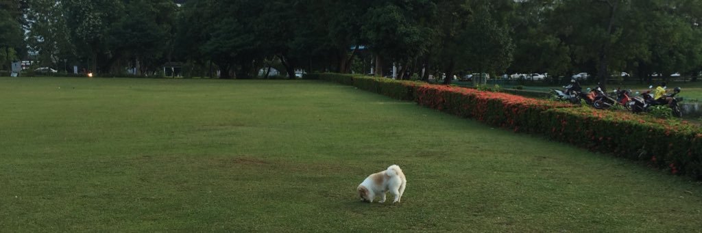 3366Koopkip's profile banner image
