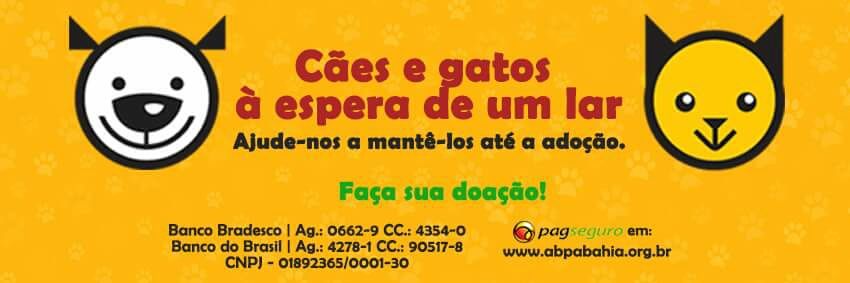 abrigoSFA's profile banner image