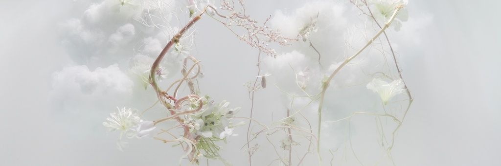 오르's banner