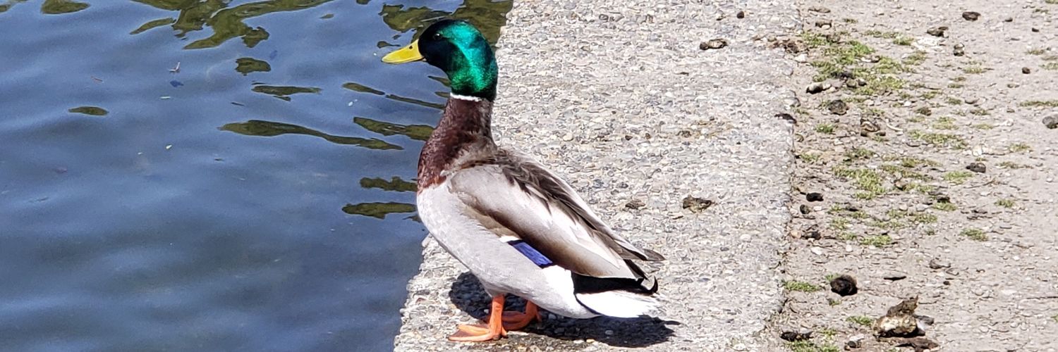 Eric Stamnes 🇺🇦 banner