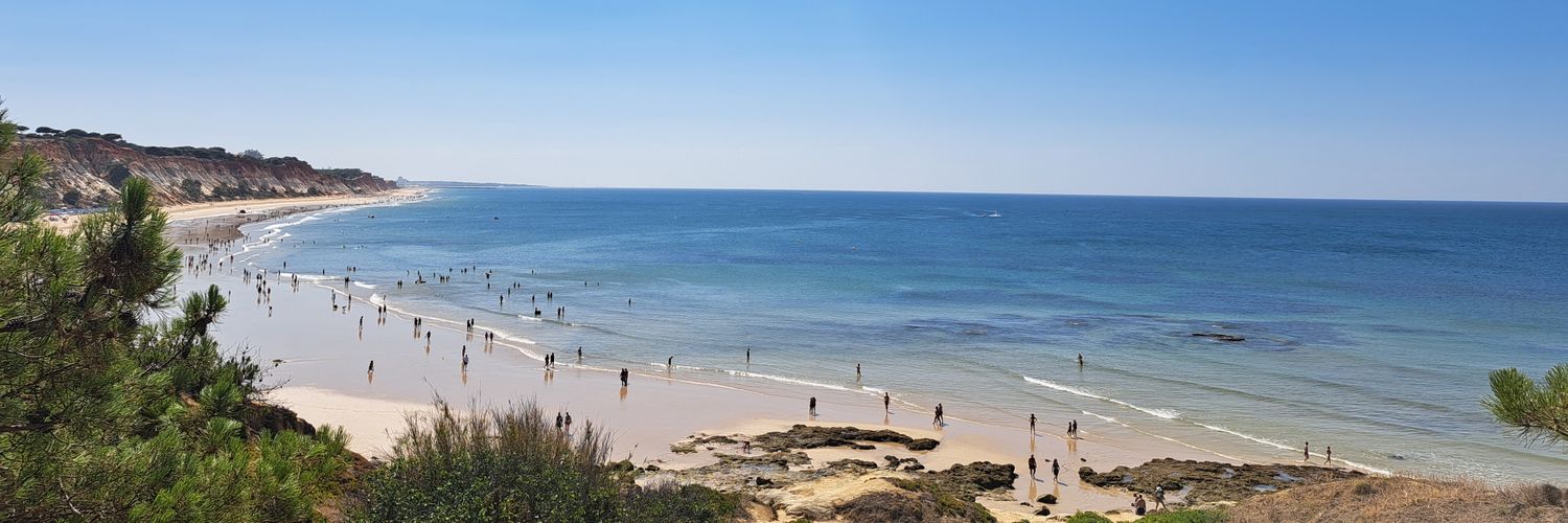 Amanda Tracey 💙 banner