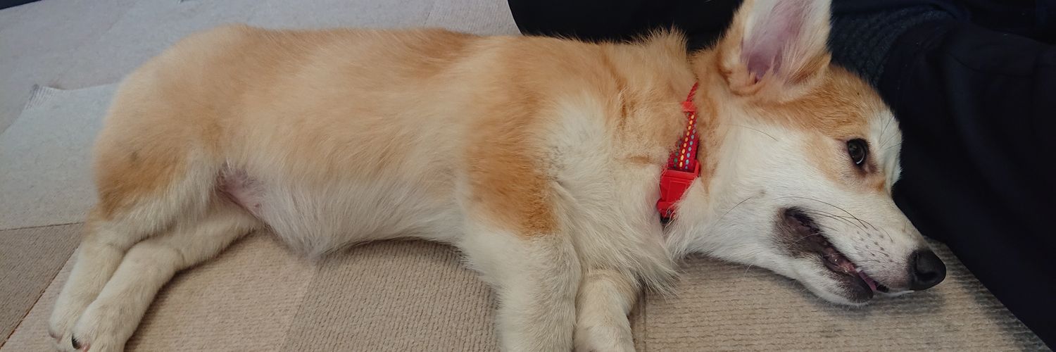 リリーママ banner