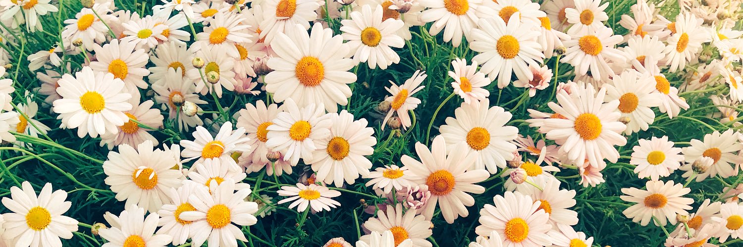 __19950416__'s profile banner image