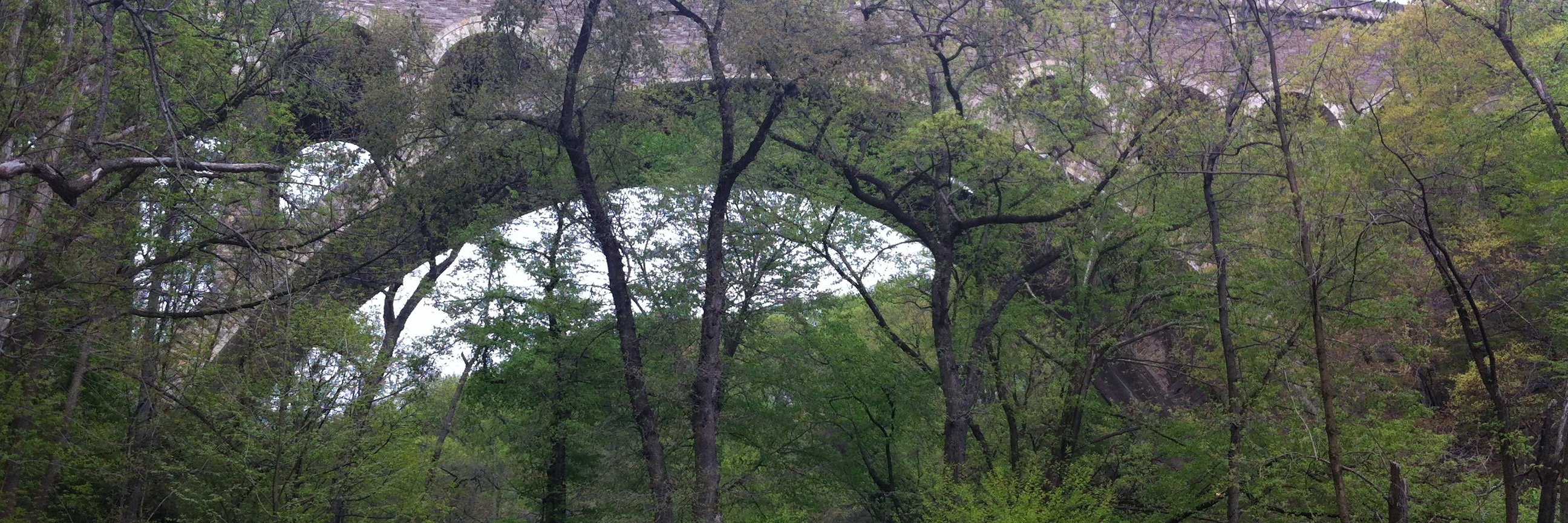 Sue Badeau banner