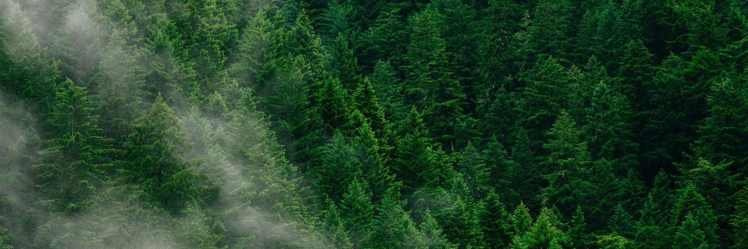 519jc's profile banner image