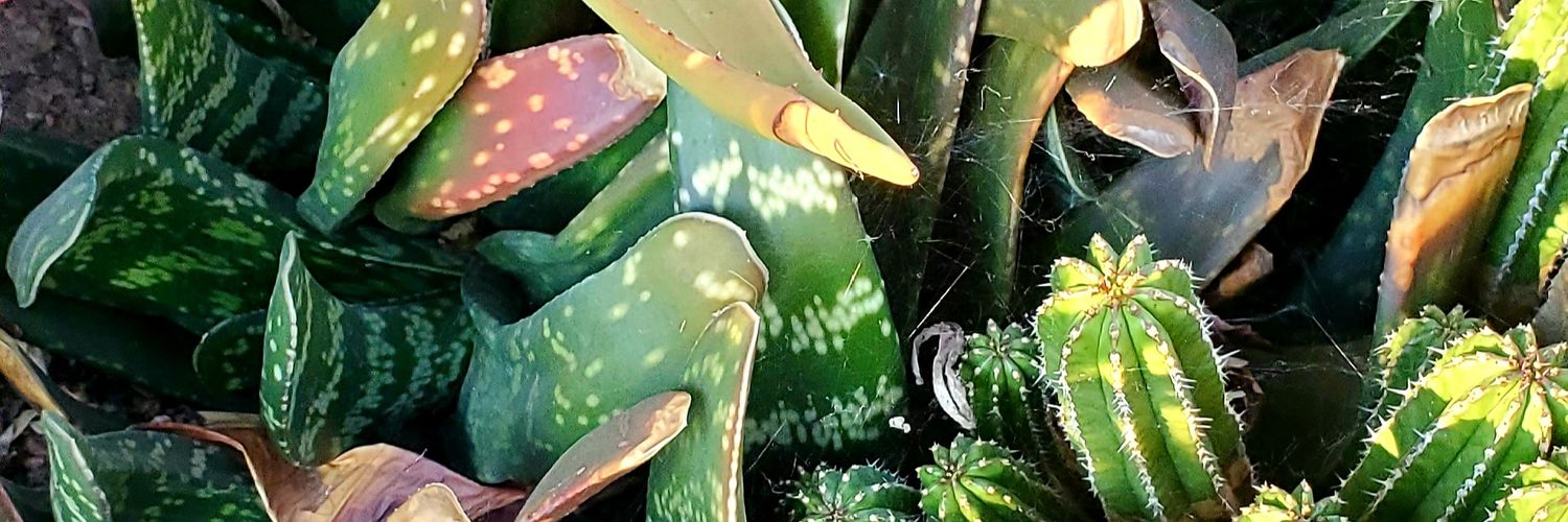 Xavier Botanic banner