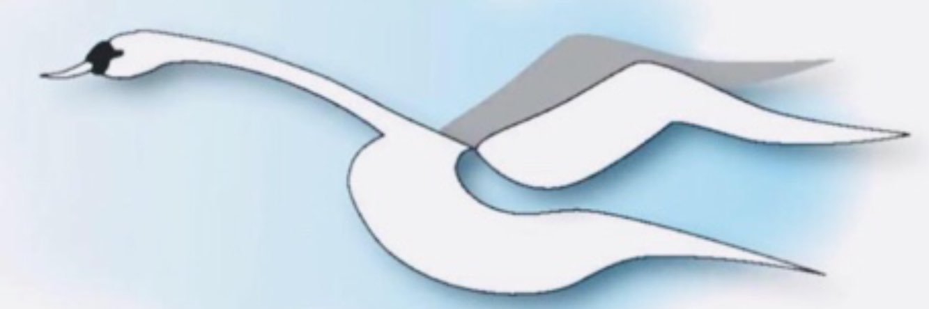 ULHT SPC Team banner