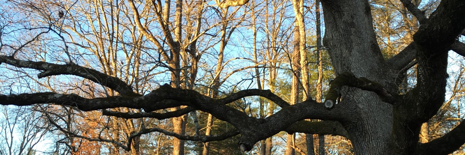 JC Everson IFBB Pro banner