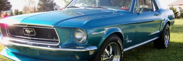 TRT_Steve Profile Banner