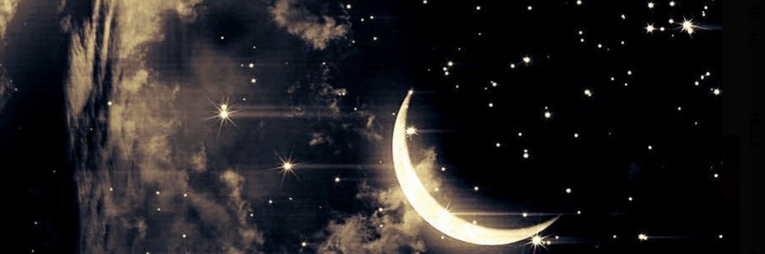 cekirdekszlimon's profile banner image