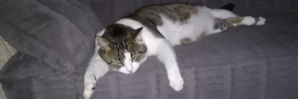 BillysBilly10's profile banner image