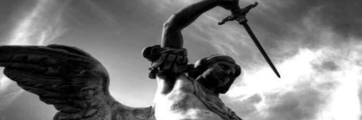 Joana Bento Rodrigues banner