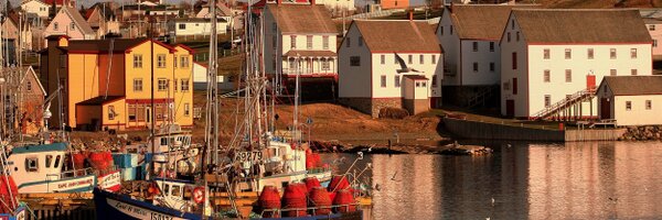 CBDCNL Profile Banner