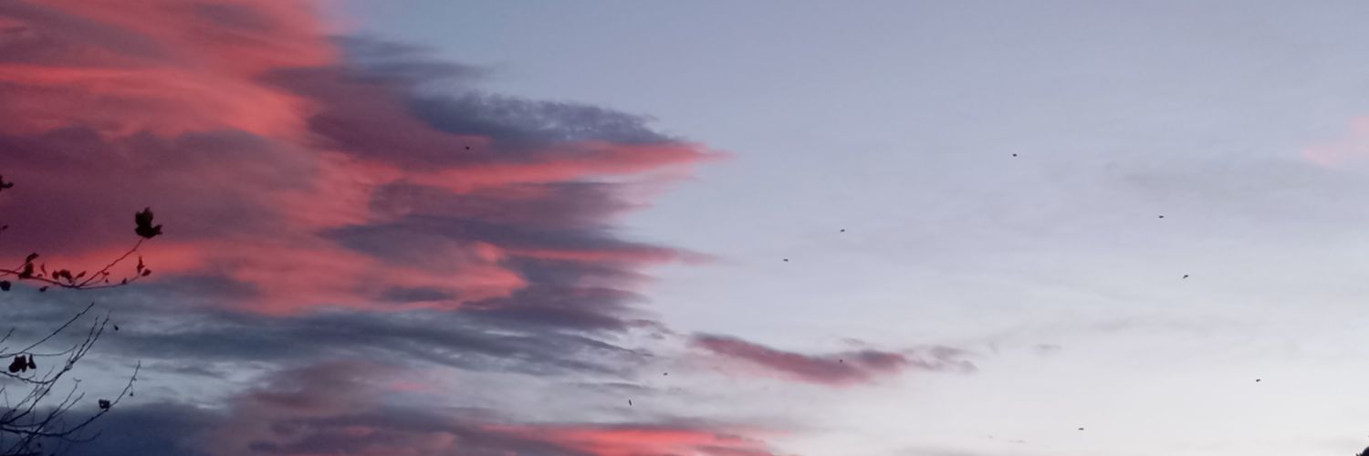 ColorfulTearsss's profile banner image