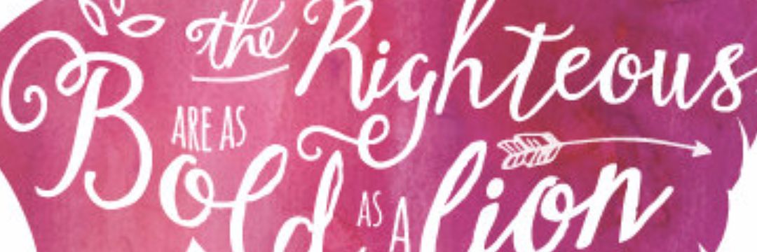 e_kamp's profile banner image