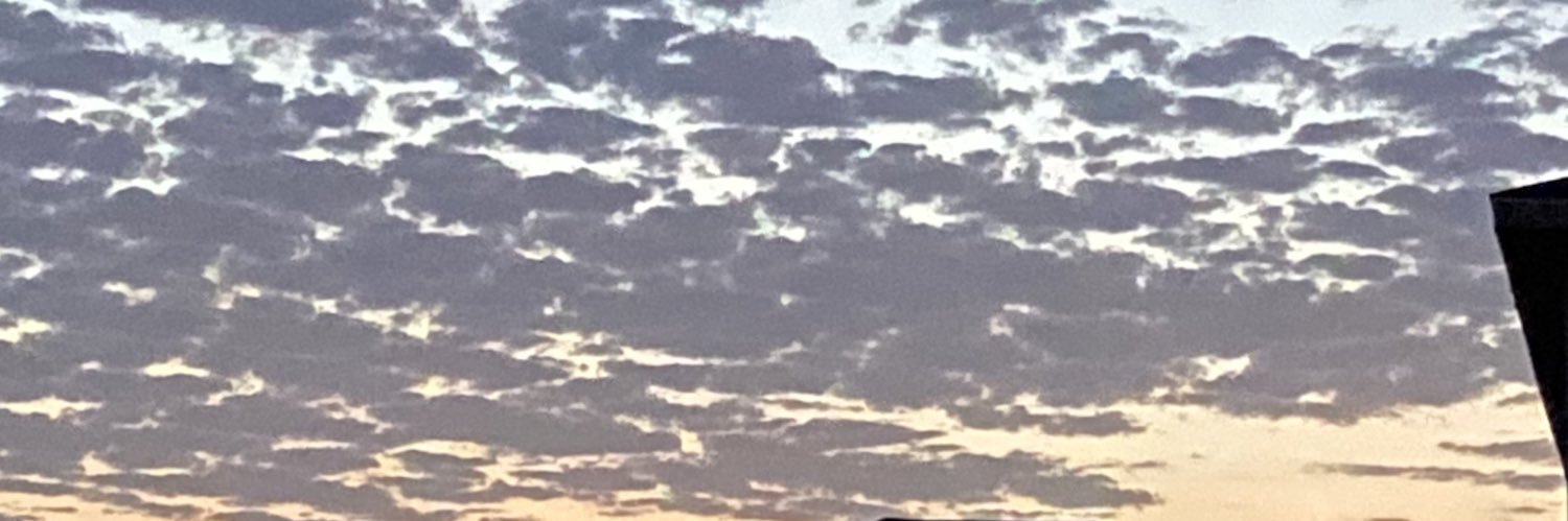 ShutupD's profile banner image