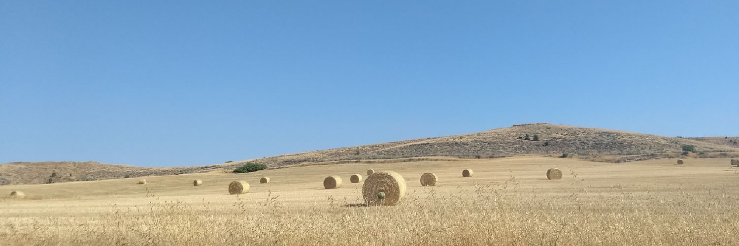 FotiosFotiou's profile banner image