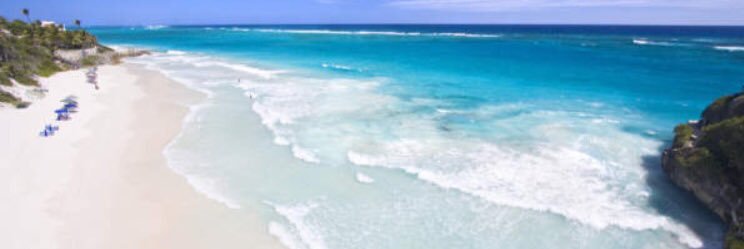 Susan Flaherty banner