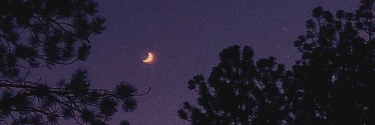 ayamisdebes's profile banner image