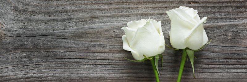 Cristel Favole banner