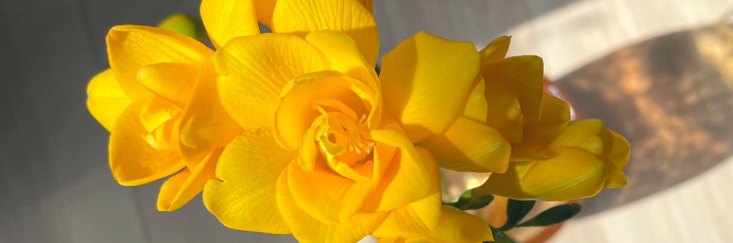 yossuliy's profile banner image