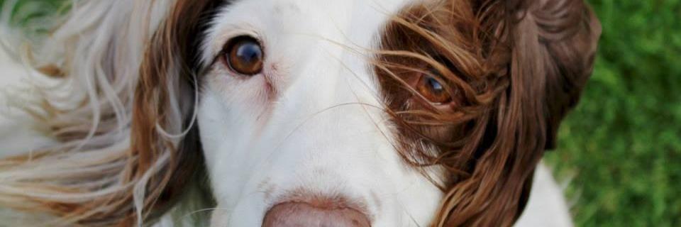 moosh52's profile banner image