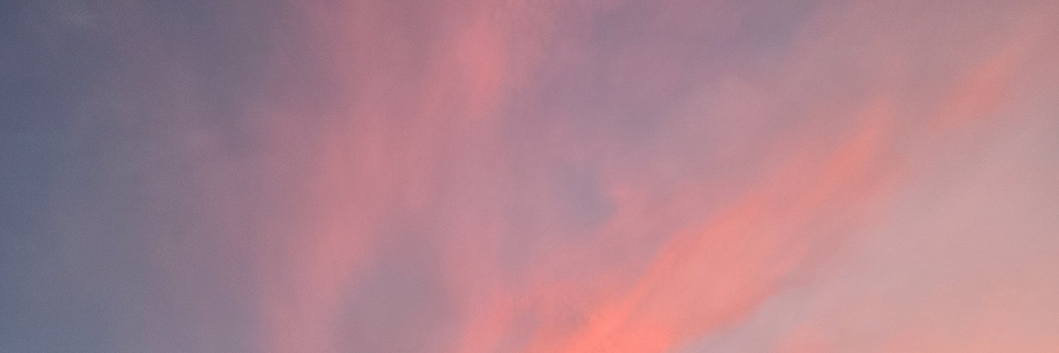 SaaraSTorrison's profile banner image
