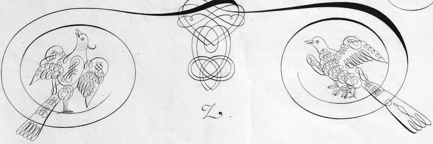 Célia Cabane banner